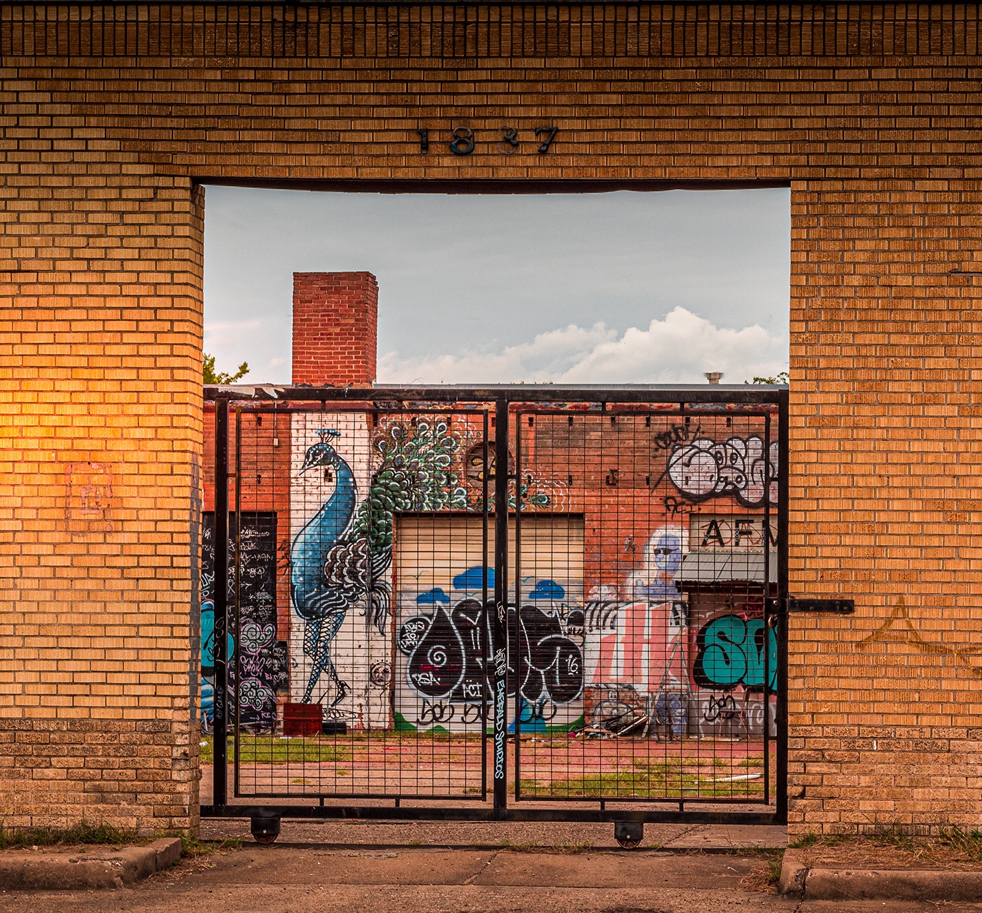 Tiled Image