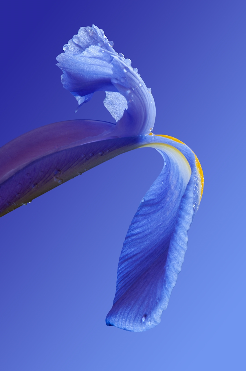 Tiled Image