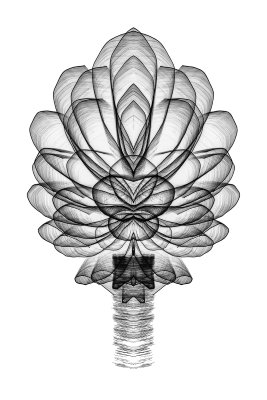 Tiled Image