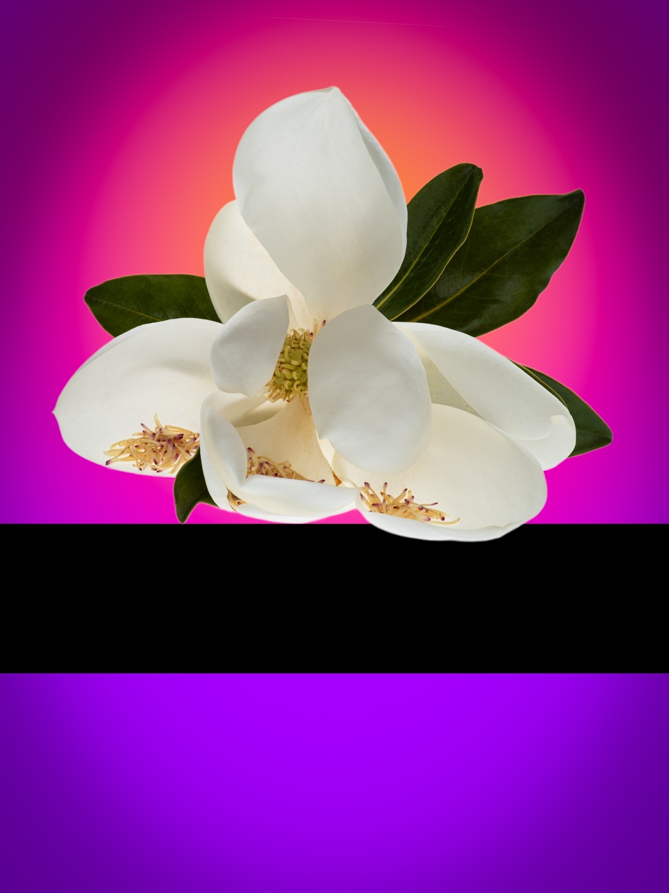 Tiled Image