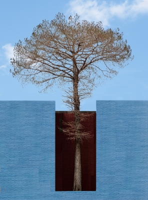 Tiled Image
