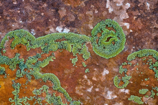 Tiled Image