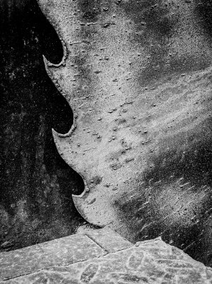 Tiled Image