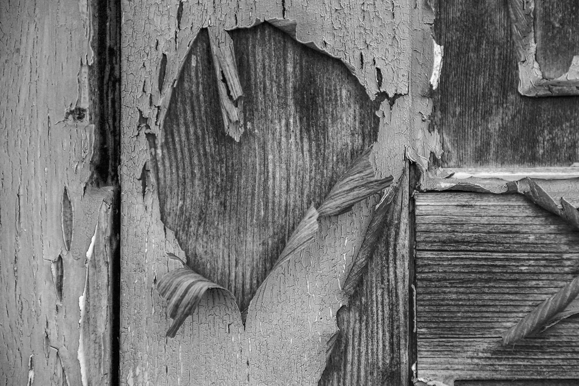 Tiled Image