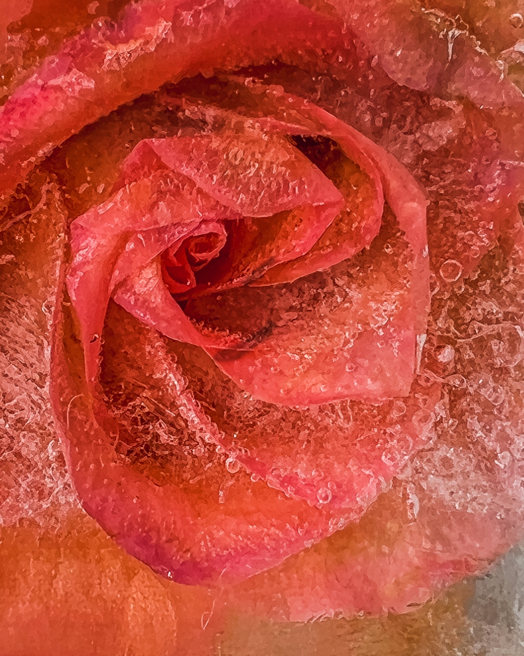 Tiled Image