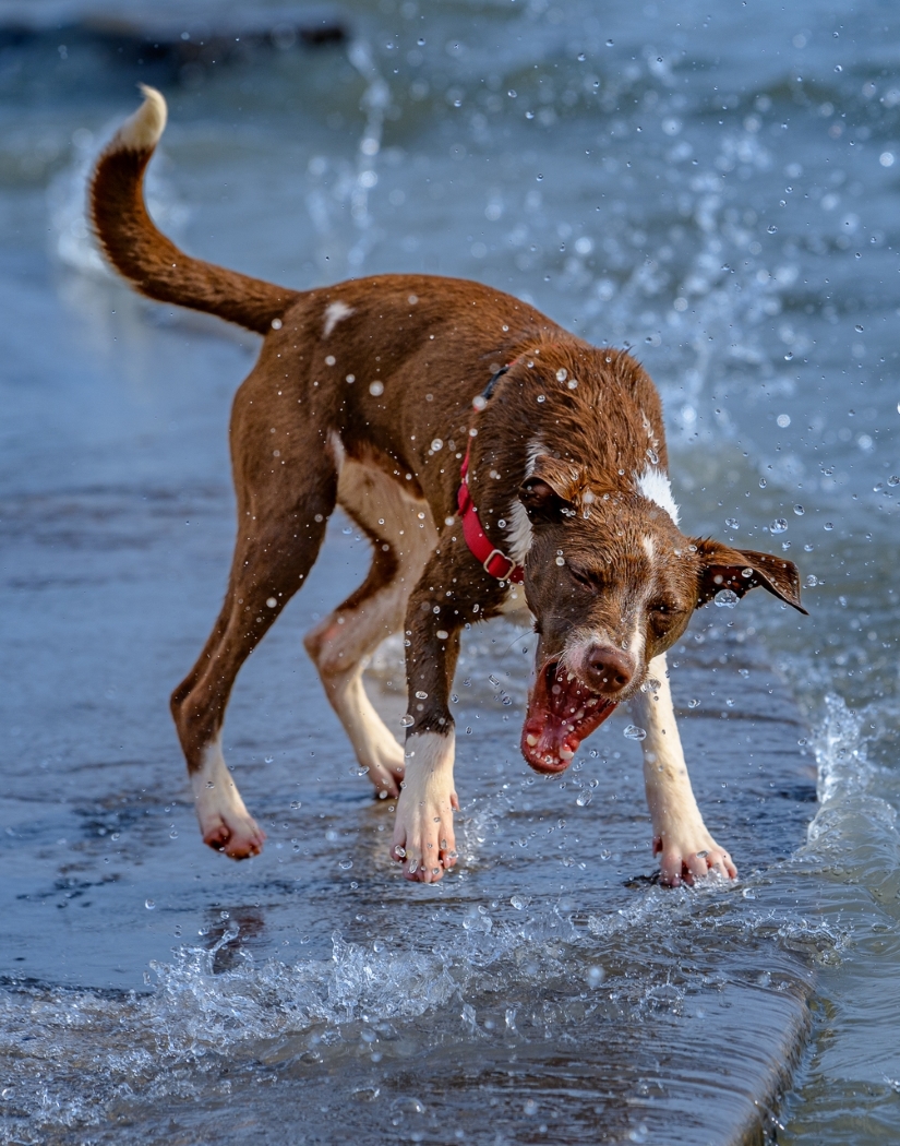 Tiled Image