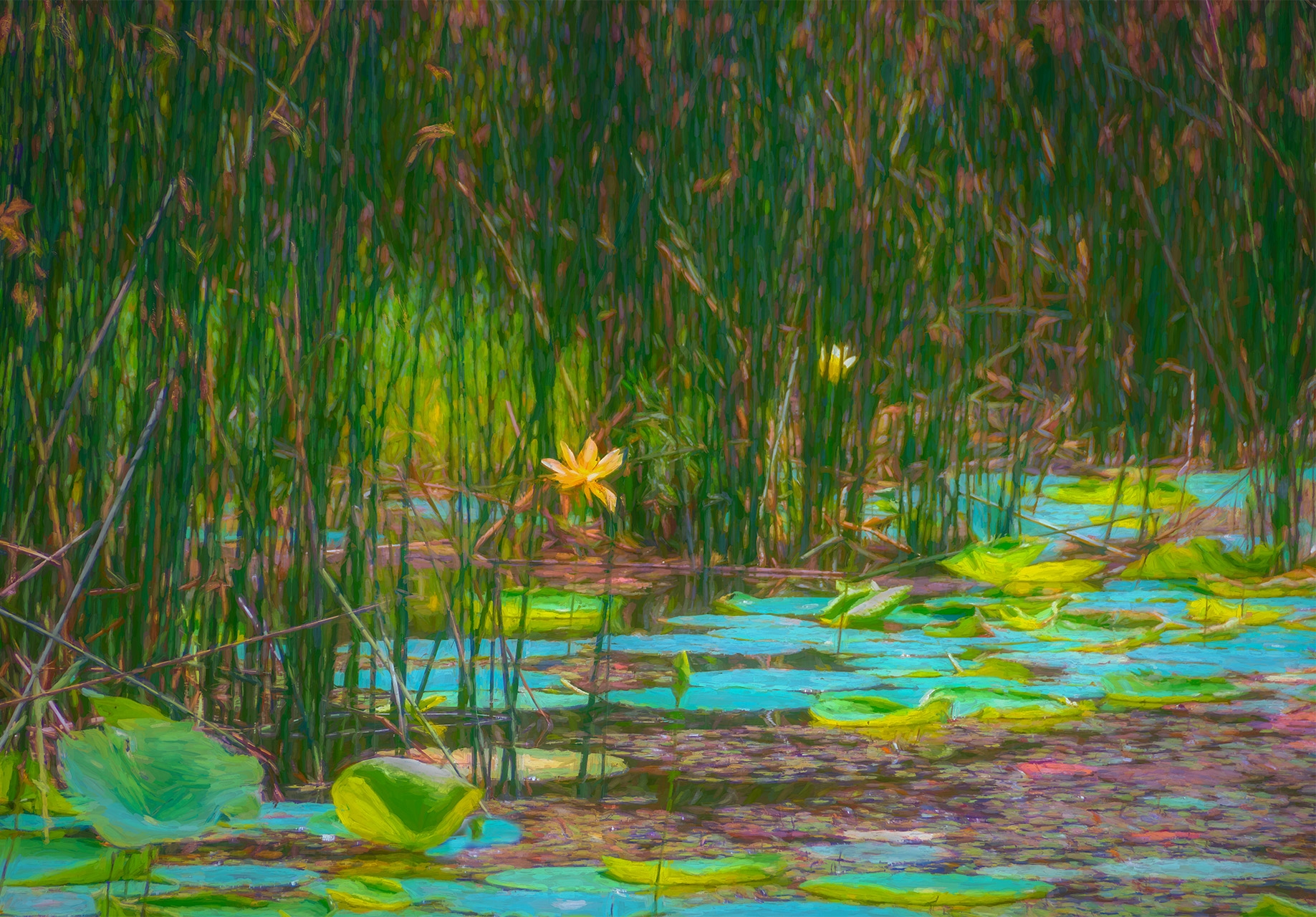 Tiled Image