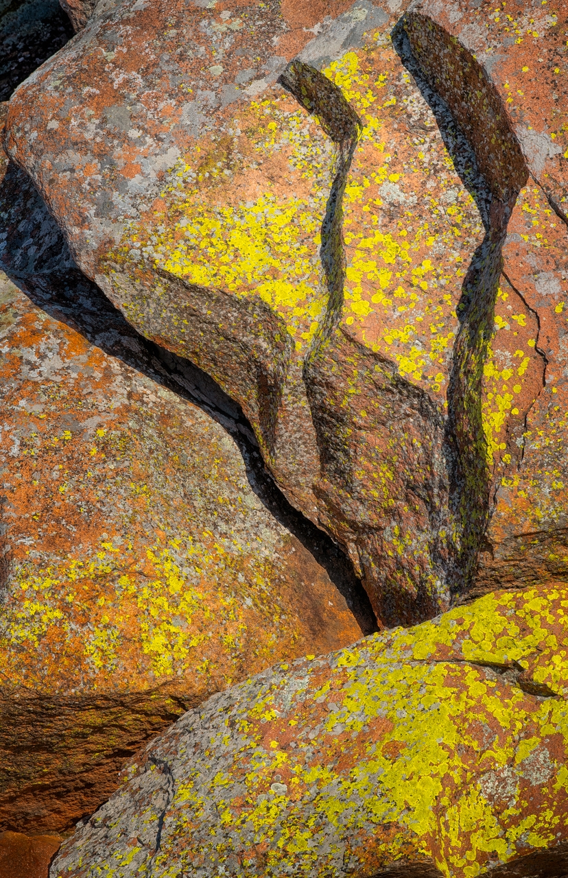 Tiled Image