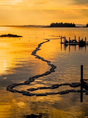 Tiled Image