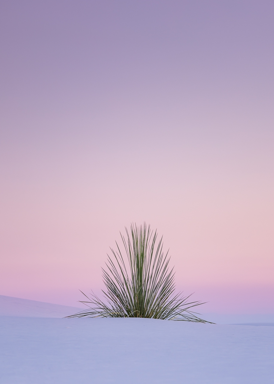 Tiled Image