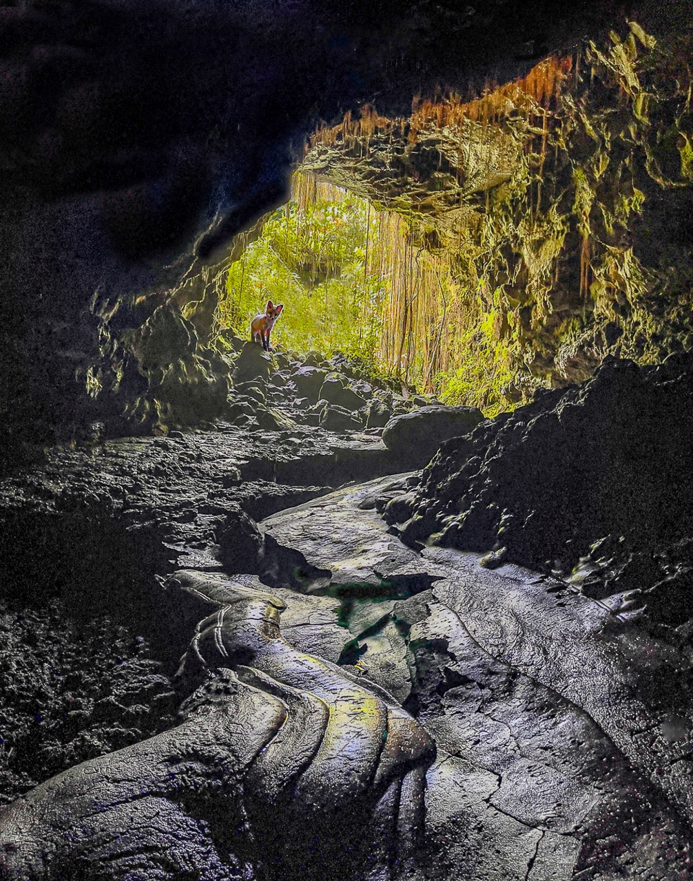 Tiled Image