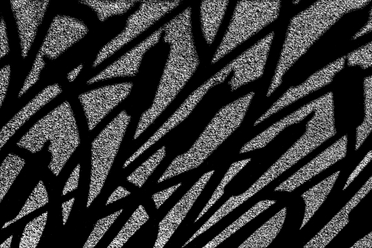Tiled Image
