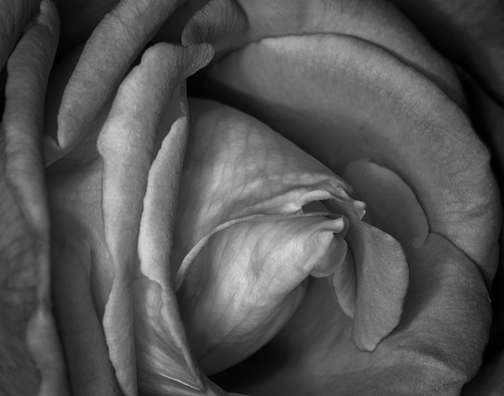 Tiled Image