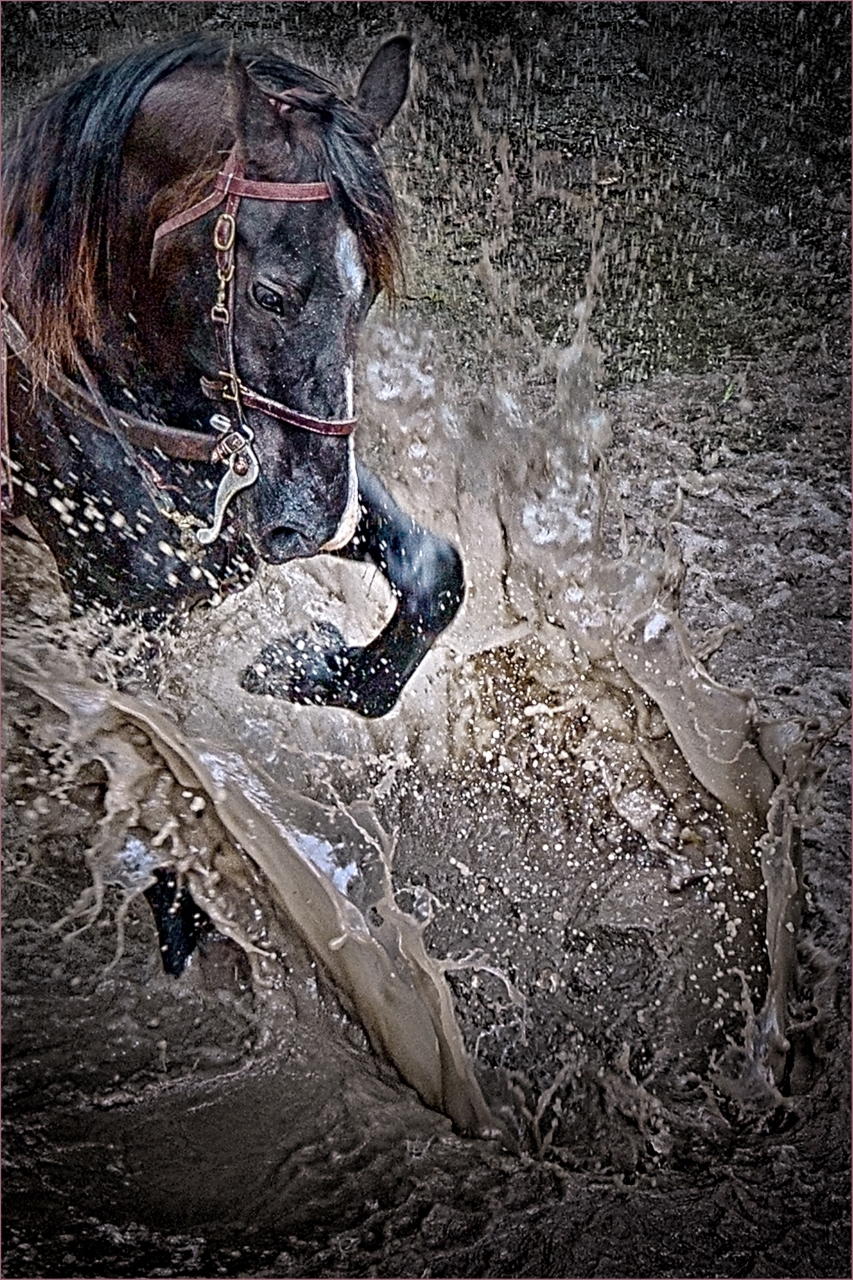 Tiled Image